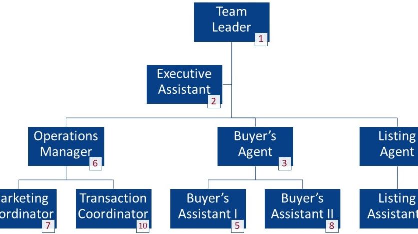real estate agent operations plan - org chart